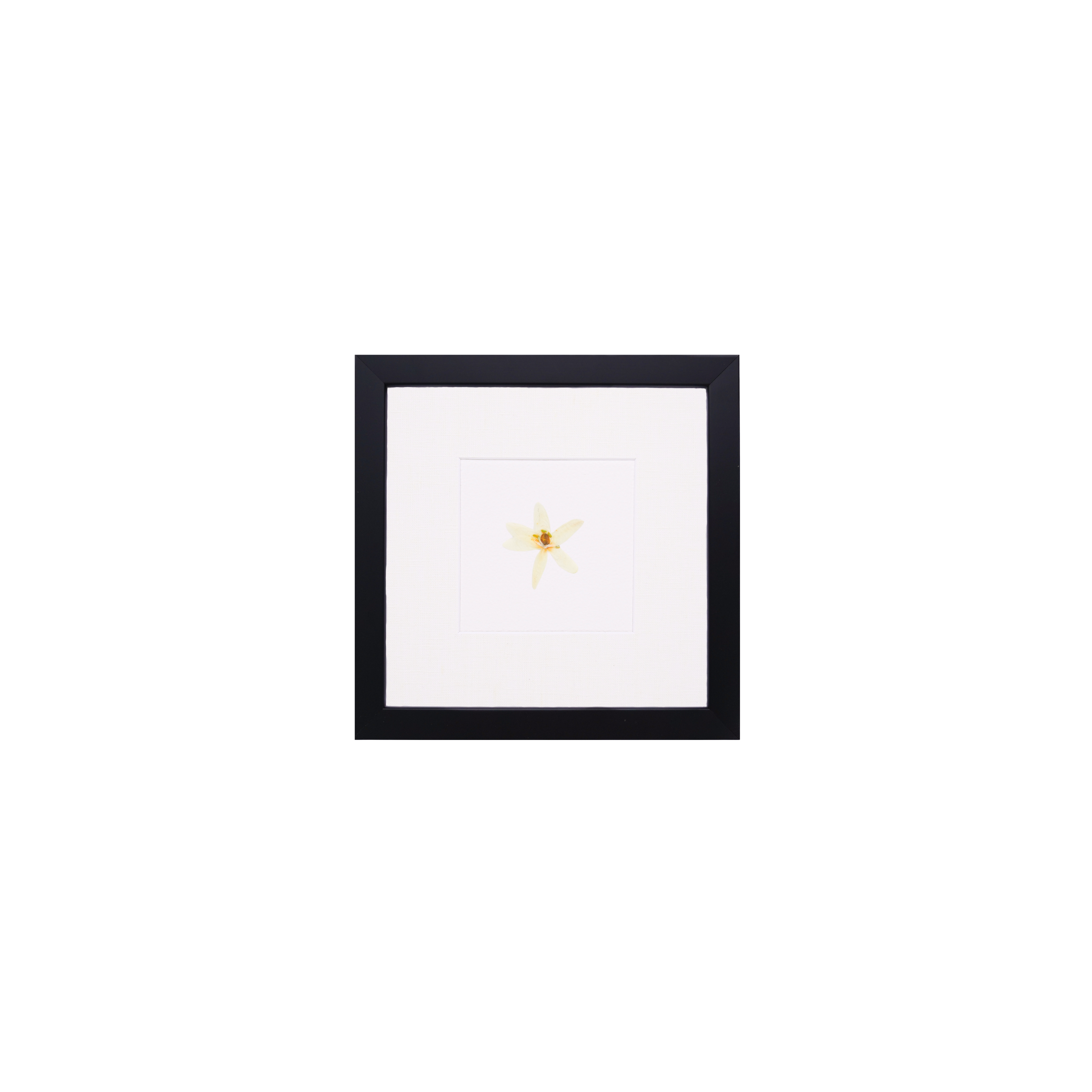 Month:August;Color:Sleek Black;